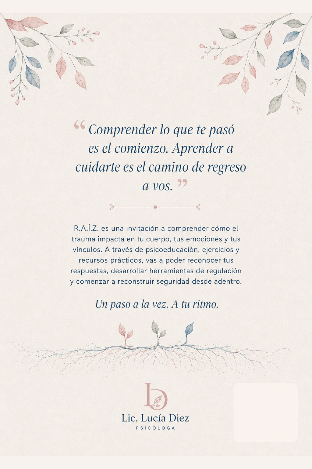 Contratapa del e-book R.A.Í.Z. de Lucía Diez